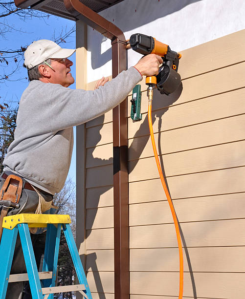 Best Siding Painting and Refinishing  in Great Falls, VA